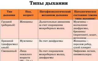 Типы дыхания у женщин, мужчин в норме: грудное, брюшное
