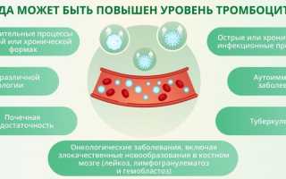 Повышенные тромбоциты в крови у женщин. Причины и лечение, что это значит