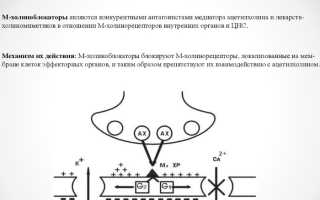 Тропикамид (Tropicamidum) глазные капли. Инструкция по применению отзывы, цена
