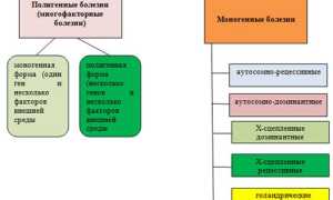Наследственные болезни человека. Список с описанием, таблица