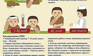 Симптомы мышиной лихорадки у детей 2-6-12 лет