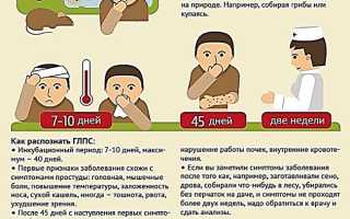 Симптомы мышиной лихорадки у детей 2-6-12 лет