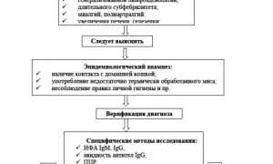 Токсоплазмоз у взрослых. Схема лечения, клинические рекомендации