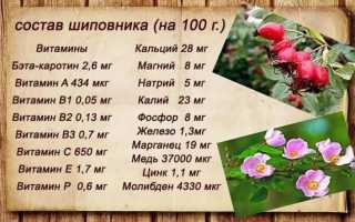 Шиповник сгущает или разжижает кровь. Как действует на кровь, давление
