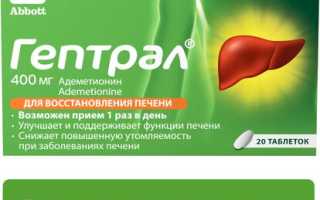Гепапротекторные препараты для печени. Перечень, список, цены, отзывы