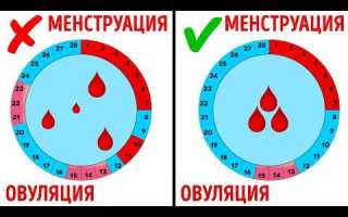 Почему месячные пришли раньше срока на 5-7-10 дней, 2-3 недели. Причины