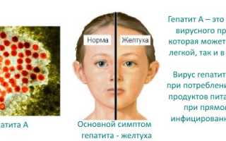 Прививка от гепатита новорожденным. Когда делают, побочные эффекты