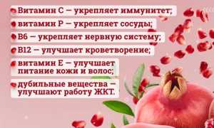 Гранатовые косточки. Польза и вред для организма