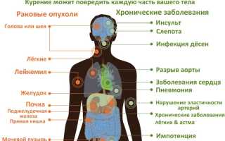 Вредные привычки для человека. Последствия, влияние на здоровье