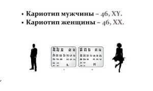 Сколько хромосом у человека в норме. Количество, классификация, патологии