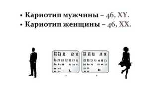 Сколько хромосом у человека в норме. Количество, классификация, патологии