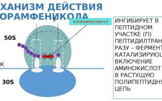 Левомицетиновая (Levomycetin) мазь для глаз. Инструкция по применению, цена