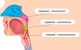 Ринофарингит у взрослых. Симптомы, лечение