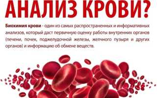 Биохимические исследования крови. Расшифровка, норма у взрослых, детей