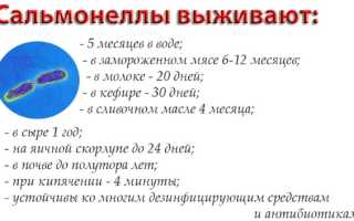 Зеленый кал у взрослого. Причины без поноса, боли в животе. Симптомы болезней, лечение