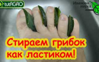 Рецепты народной медицины: Как вылечить грибок ногтей за один раз