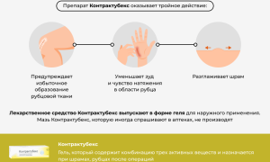 Мазь Контрактубекс. Инструкция по применению, лечебные свойства для кожи, как применять
