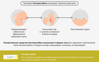 Мазь Контрактубекс. Инструкция по применению, лечебные свойства для кожи, как применять
