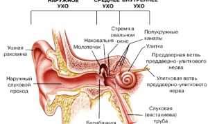 Как удалить воду из уха после бассейна, купания, промывания носа