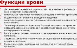 Состав крови человека, таблица. Анатомия, физиология