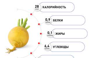 Репа. Полезные свойства и противопоказания для женщин