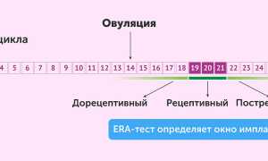 Имплантационное окно при ЭКО. Как определить в криопротоколе