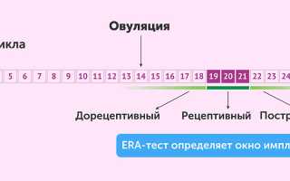 Имплантационное окно при ЭКО. Как определить в криопротоколе