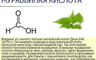 Муравьиная кислота. Свойства и применение, для чего