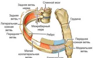 Боль в грудной клетке при кашле с левой, правой стороны, посередине. Что это, причины, лечение