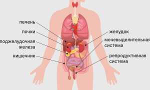 Боли внизу живота у женщин. Причины резкие, тянущие в левом, правом боку