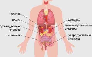 Боли внизу живота у женщин. Причины резкие, тянущие в левом, правом боку