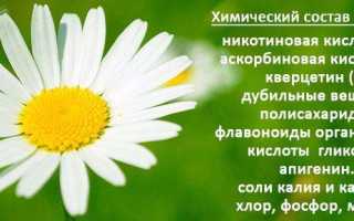 Полезные свойства ромашки аптечной. Как приготовить отвар (настой), лечение