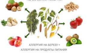Аллергия на березу, пыльцу березы. Перекрестные продукты, препараты
