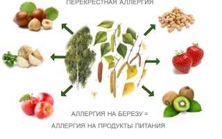 Аллергия на березу, пыльцу березы. Перекрестные продукты, препараты