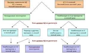 Лечение гипертонии 2 степени лекарственными препаратами. Схема