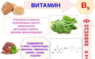 Фолиевая кислота для мужчин чем полезна, для чего после 40-50 лет