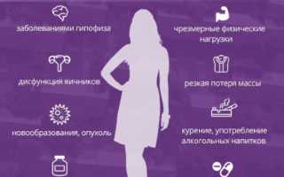 Андростендион повышен у женщин. Что это, норма, за что отвечает, когда сдавать, причины отклонения