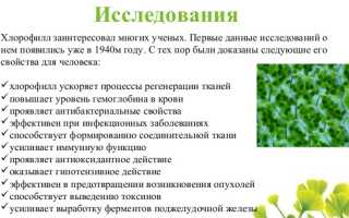 Хлорофиллипт спрей для детей, взрослым для горла. Инструкция по применению, аналоги, цена