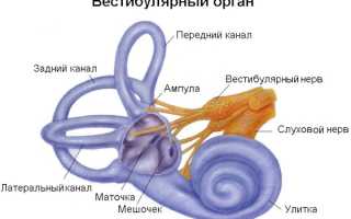 Вестибулопатия. Что это такое, симптомы, лечение: периферическая