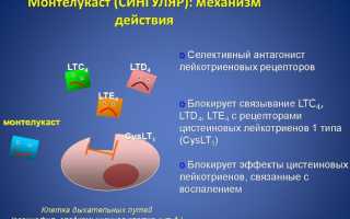 Монтелукаст (Montelukast) для детей. Отзывы, инструкция, дозировка, цена