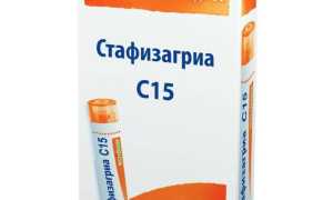 Стафизагрия гомеопатия. Показания к применению, инструкция 6, 12, 30, 200, 1000. Описание препарата