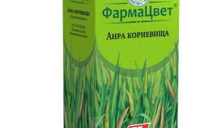 Корень аира. Инструкция по применению, отзывы