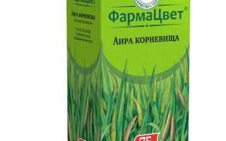 Корень аира. Инструкция по применению, отзывы