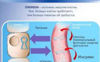 Полезные свойства березовых почек, показания и противопоказания для мужчин, женщин, как принимать