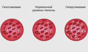 Глюкоза для организма человека. Польза, значение, функции
