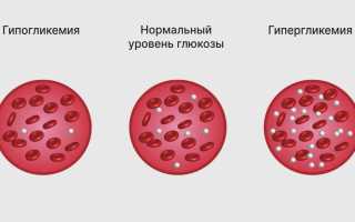 Глюкоза для организма человека. Польза, значение, функции