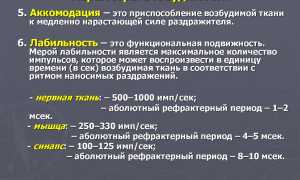 Лабильность в физиологии. Что это такое, суть