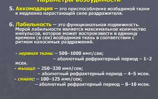 Лабильность в физиологии. Что это такое, суть