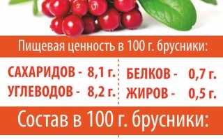 Листья брусники для женщин. Лечебные свойства, польза и противопоказания