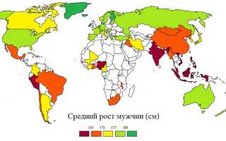 Средний рост мужчины в мире, России. Рост по расам, национальностям, народам. От чего зависит